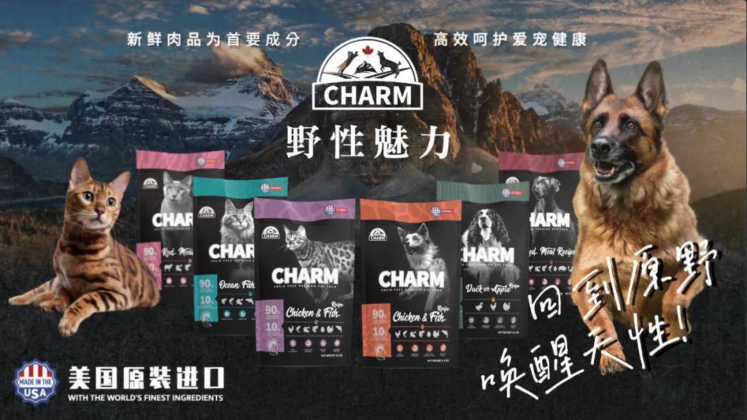 ARM野性魅力在中国市场做对了什么？K8凯发登录连续三年取得翻倍增长CH(图6)