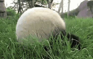 马拉松了！聊聊下半年值得期待的国内新赛事凯发k8国际首页登录这些美食之城也将举办(图9)