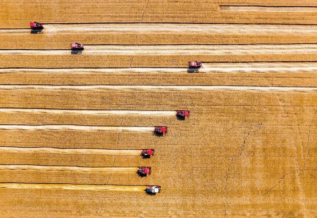 ：沃野驰新马 人间又团圆凯发K8登录入口仲农平(图2)