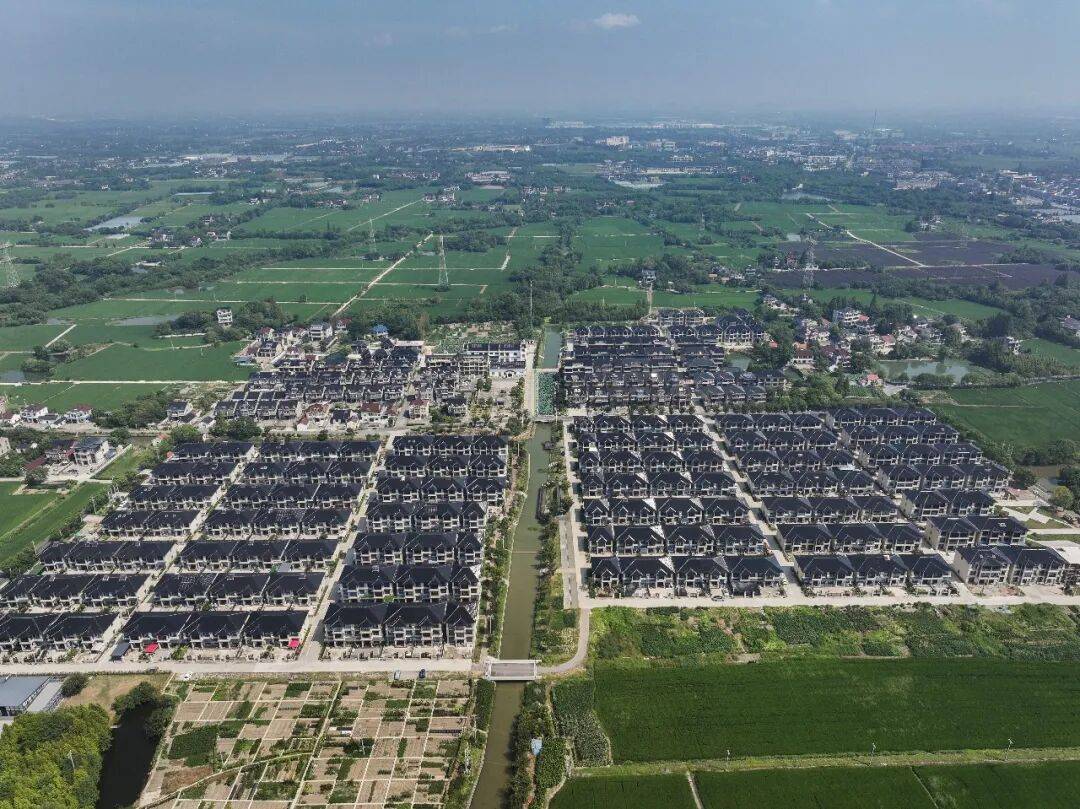 ：沃野驰新马 人间又团圆凯发K8登录入口仲农平(图3)